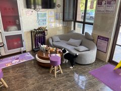 -宠爱国际动物医院·消化内科·心肾内科·ISFM猫友好(望京店)