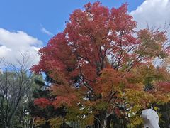 -长春世界雕塑园冰雪艺术天地