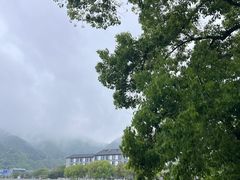 -蒋氏故居