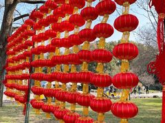 -无锡梅园公园