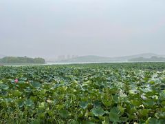 -云龙湖旅游景区