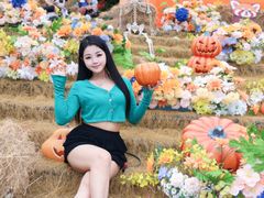 -灵玲国际马戏城