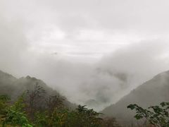 -武陵山森林公园