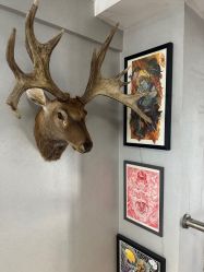 -極致刺青TATTOO STUDIO 私人订制
