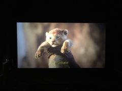 -红星电影世界开元地中海店(RealD杜比全景声)