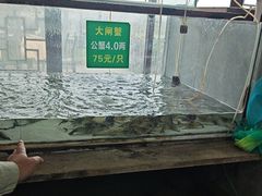 -七的湖·晚芳亭·阳澄湖农家菜·大闸蟹(莲花岛店)