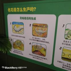 -恐龙探索乐园(磁器口店)