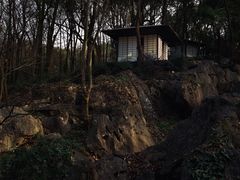 -中国茶叶博物馆(双峰馆区)