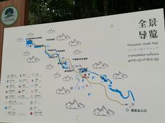 -莫里热带雨林景区