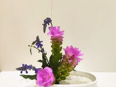 -今日陶艺(富力广场店)