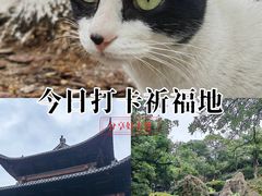 -鸿山公园