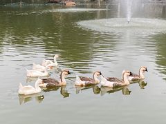 -洛阳市隋唐城遗址植物园