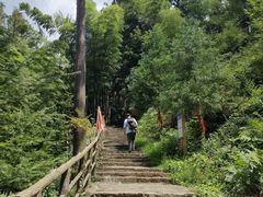 -东天目山风景区