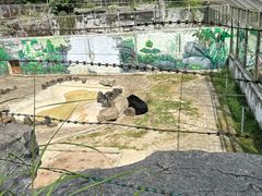 -黔灵山公园