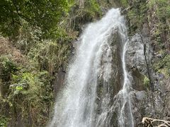 -姑婆山旅游区