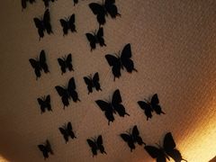 -白兔子密室(长寿路店)