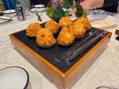 -丁老爷子苏香圆