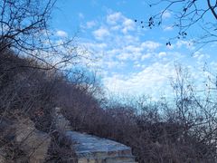 -北京西山国家森林公园