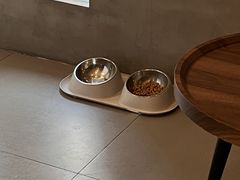 -Again Coffee Roaster(香蜜湖店)