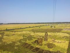 -稻梦空间
