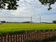 -小陆莲花蟹园农家乐(莲花岛店)