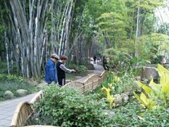 望江楼景区-望江楼公园