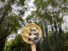 -成都大熊猫繁育研究基地