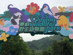 -西安秦岭野生动物园