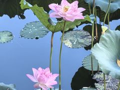 -烈士陵园(地铁站)