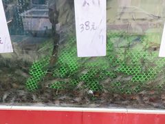 -西江河鲜·趣苑酒楼(鼎湖店)