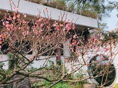 -南山植物园