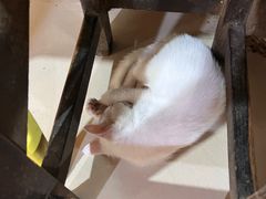 -二中酸辣汤(无锡梁溪区店)