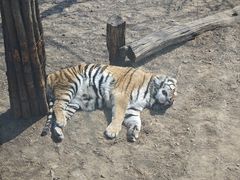 -大连森林动物园