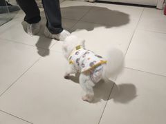 -怪兽屋·羊驼·猫咖·狗咖(俊华广场店)