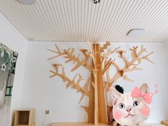 -有猫儿腻咖啡厅.猫咖