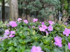 -上海虹桥迎宾馆