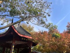 -堤角公园