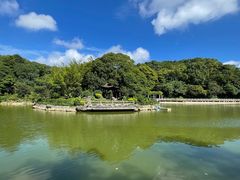 -广州市帽峰山景区