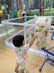 -小象动悟公园(龙湖亦庄天街店)
