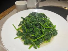 蒜蓉番薯苗-新渝城·始于2000年(淘金店)