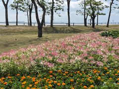 -芒洲湿地公园