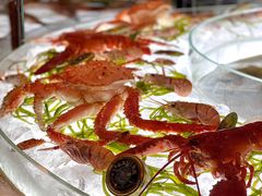 -壳里西餐厅Coquille Seafood Bistro(蒙自路店)