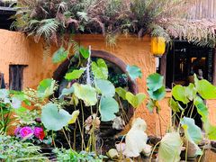 -园林美食城·本土农家菜(杨和镇店)