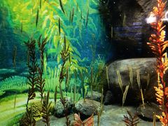 -上海海洋水族馆