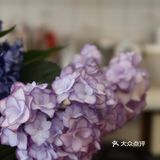 咖啡馆的无尽夏|杨柳依依 夏日如期🌳