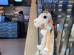 -ZOO COFFEE动物园咖啡(望京锐创店)