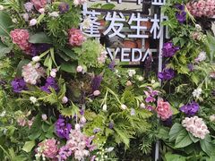 -上海久光百货