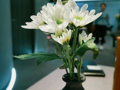 -鑫悦诚府·新鲁菜·餐厅(趵突泉店)