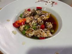 小花螺-黄寺蒸汽海鲜(黄寺大街店)