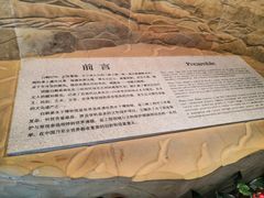 -白鹤梁水下博物馆